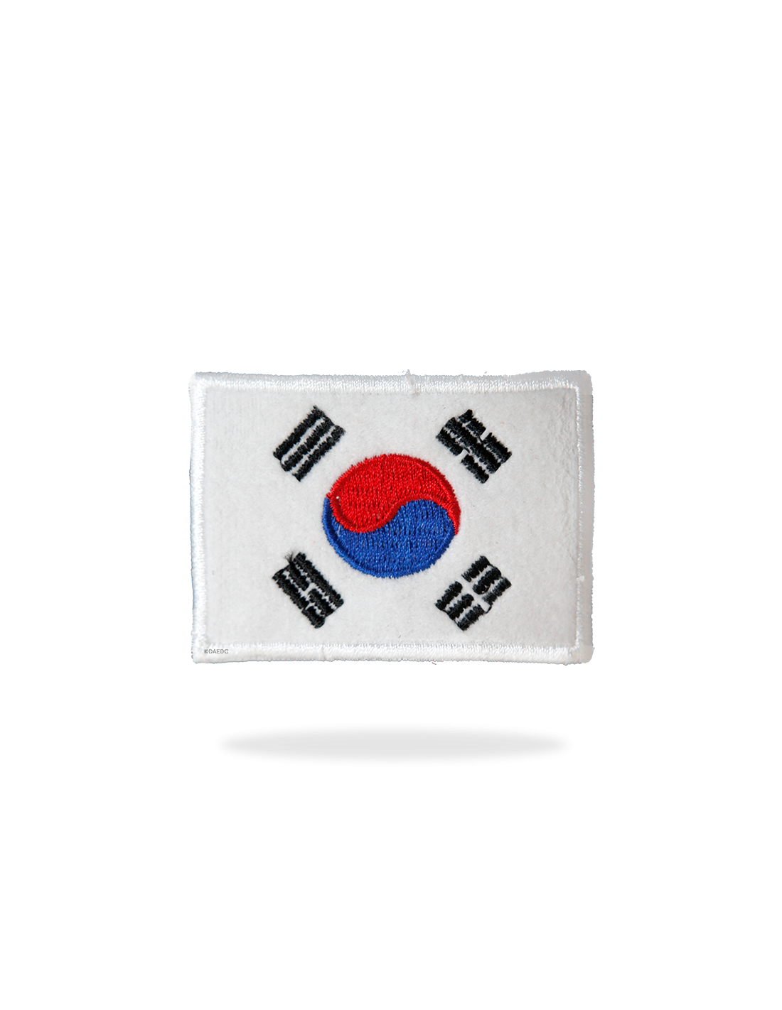 Bandera Corea grande